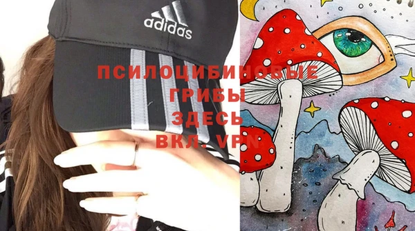 дурь Карталы