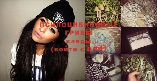 дмт Карпинск