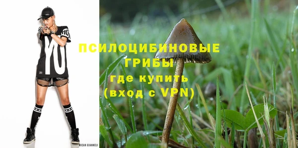 а пвп мука Касимов